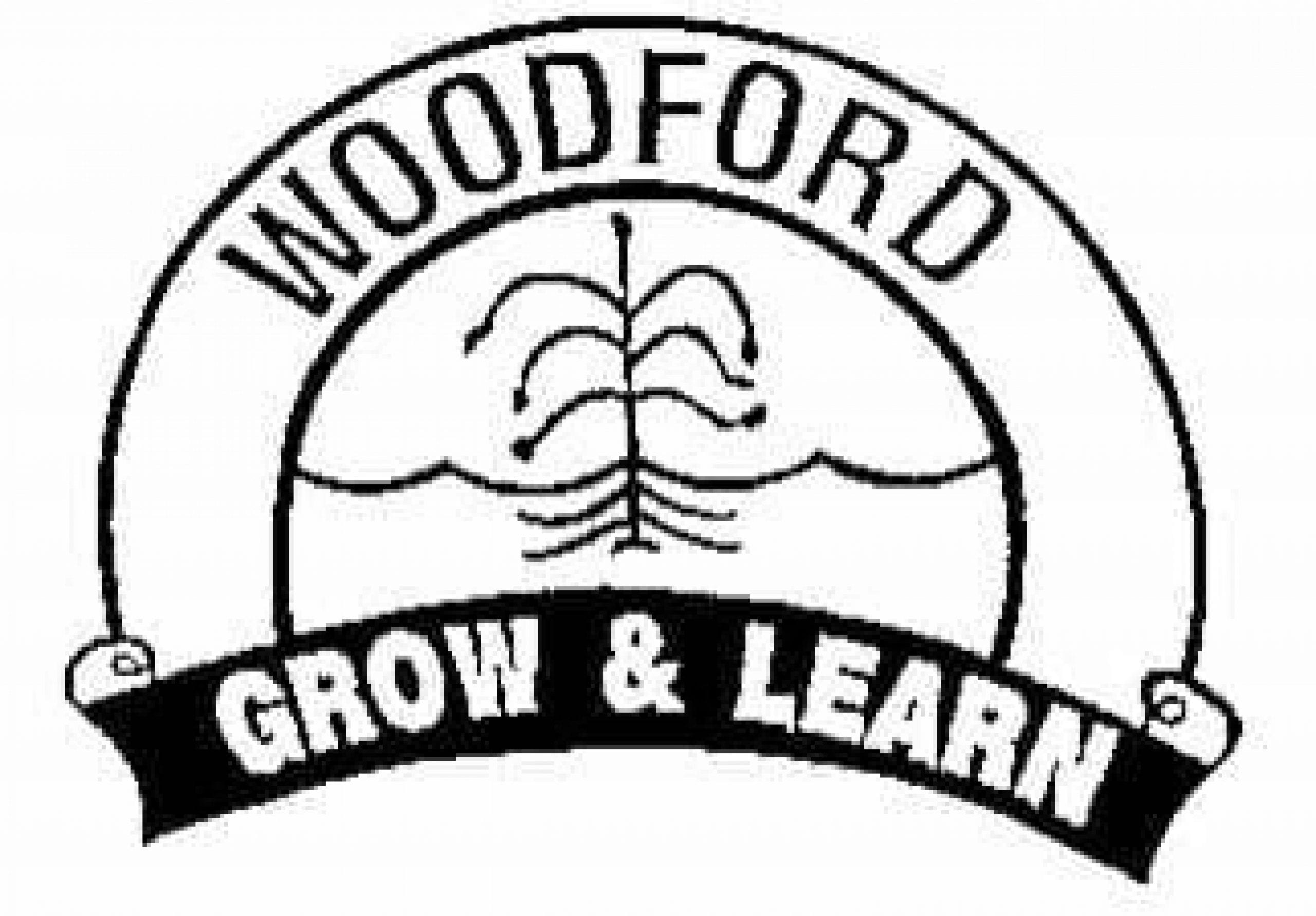 Woodford 4/5/6 Team Blog